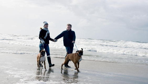 Paar mit Hunden Nordseestrand Dänemark
