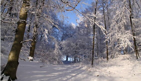 Winterurlaub Dänemark mit Schnee 