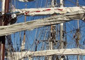 Tall Ship Races Thyborøn