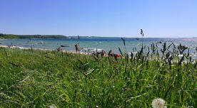 Fölle Strand Djursland Dänemark Urlaub