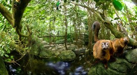 Randers Regnskov tropische Tiere Djursland