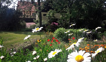 Garten vom Sneglehus Ferienwohnung Bornholm